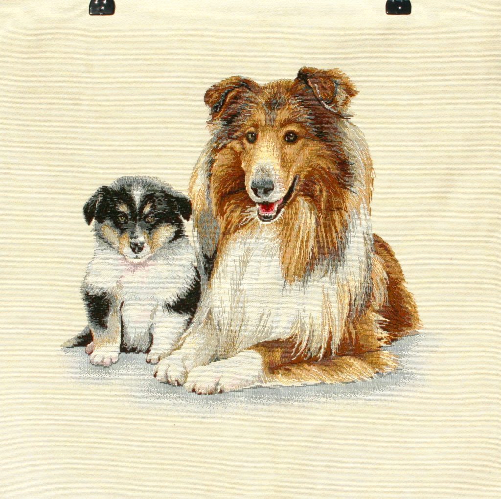 Coussin Chien Colley