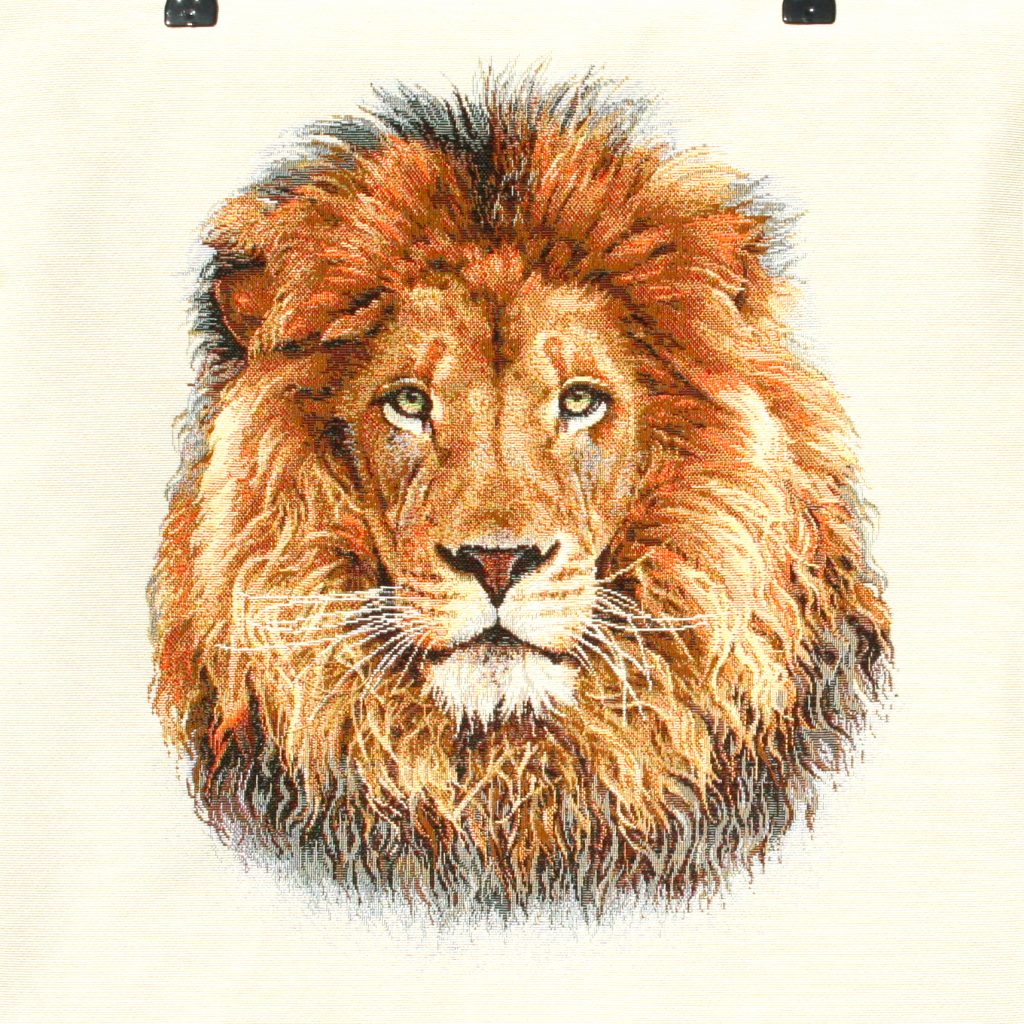 Coussin Lion